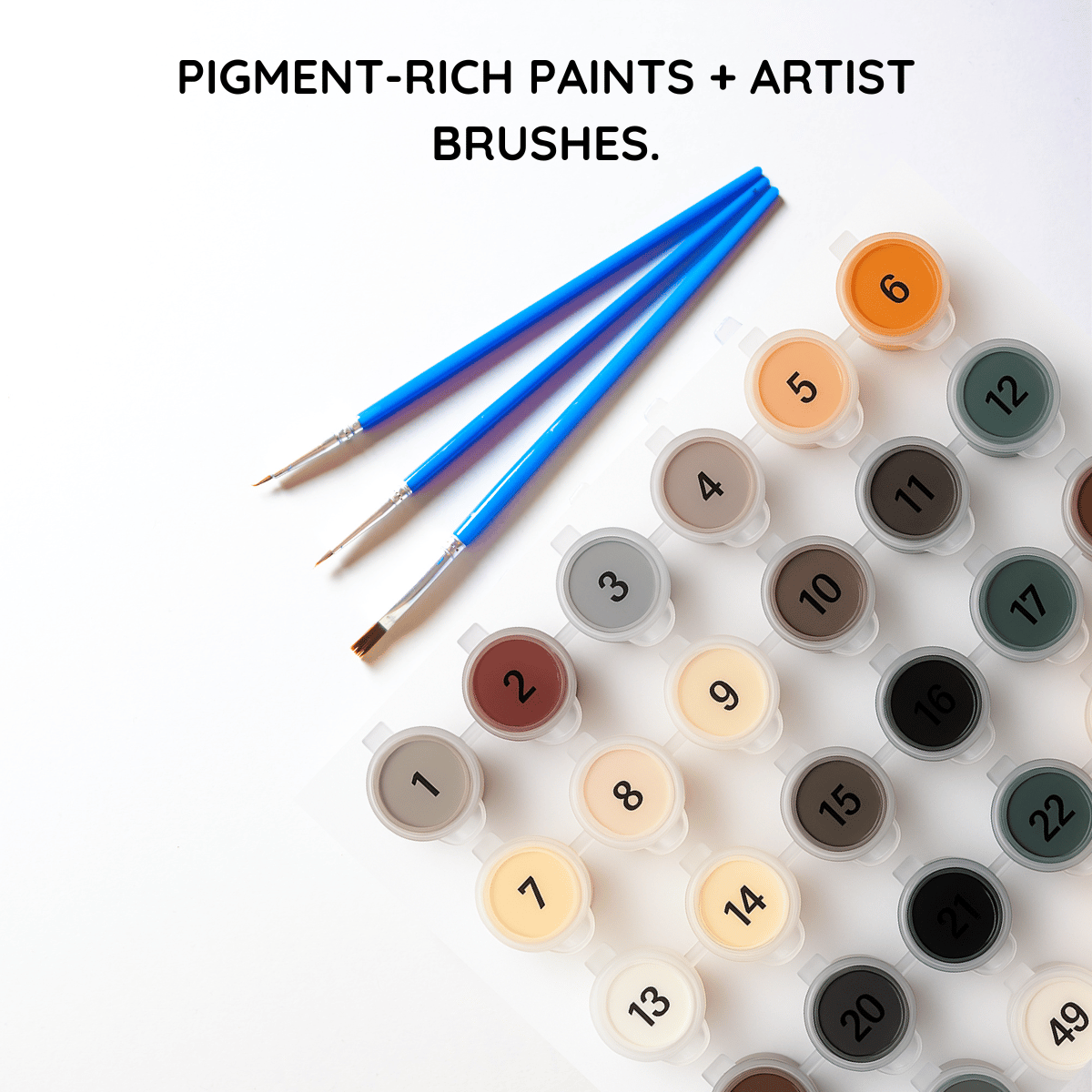 Premium Custom Paint By Numbers Kit