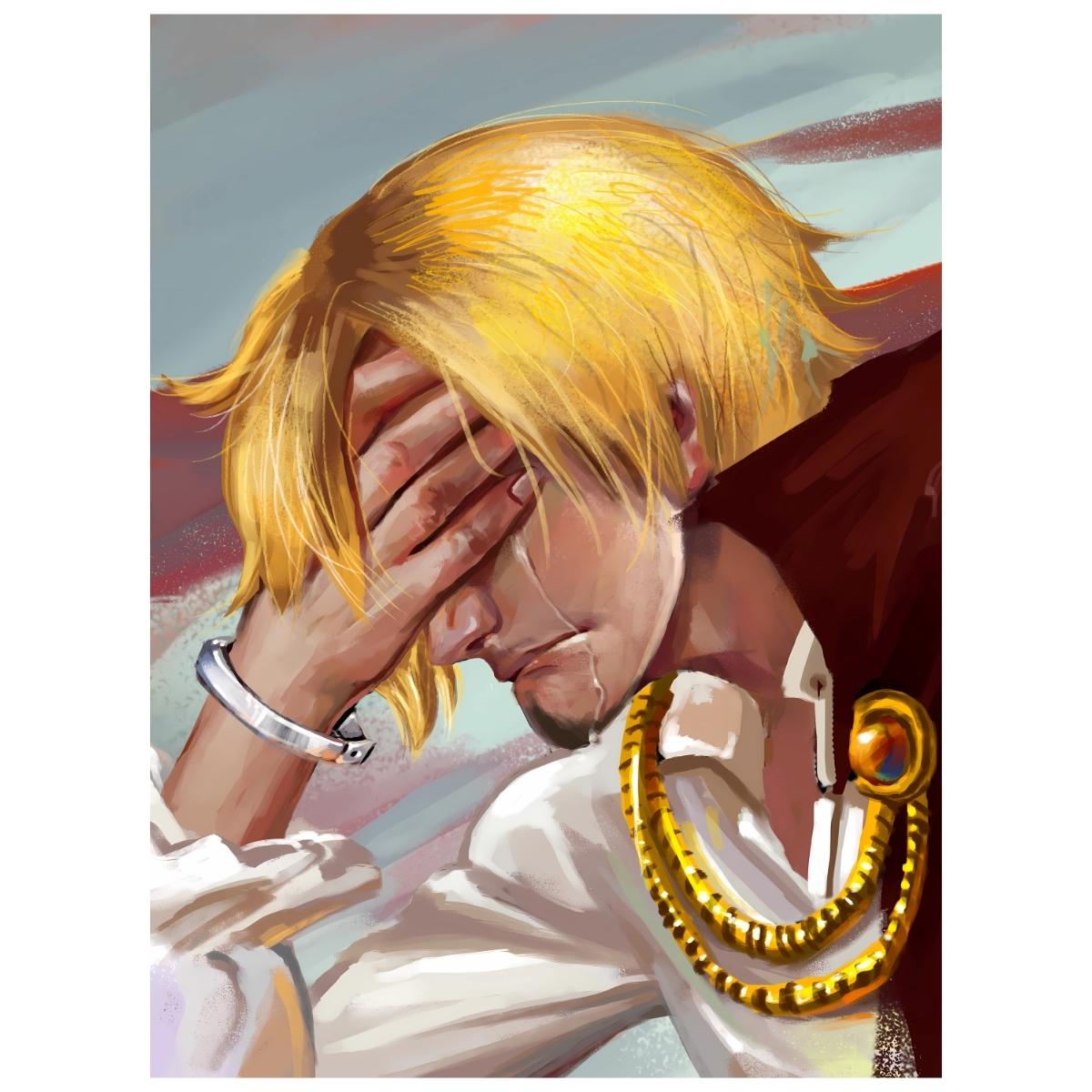 One Piece: Regret - Anime Painting Set