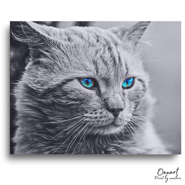 Grey Cat - Diamond Painting Kit-Oenart™