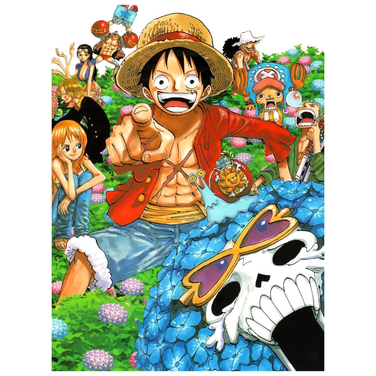 One Piece: Mugiwara Crew - Anime Paint By Numbers Kit