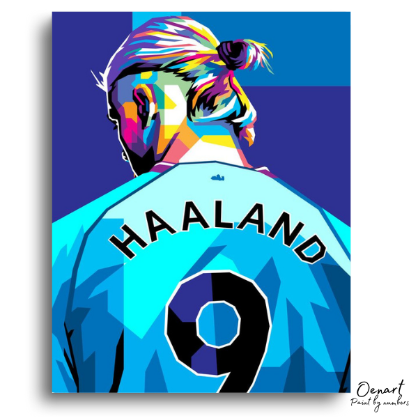 Halland City 9 - Paint By Numbers Kit