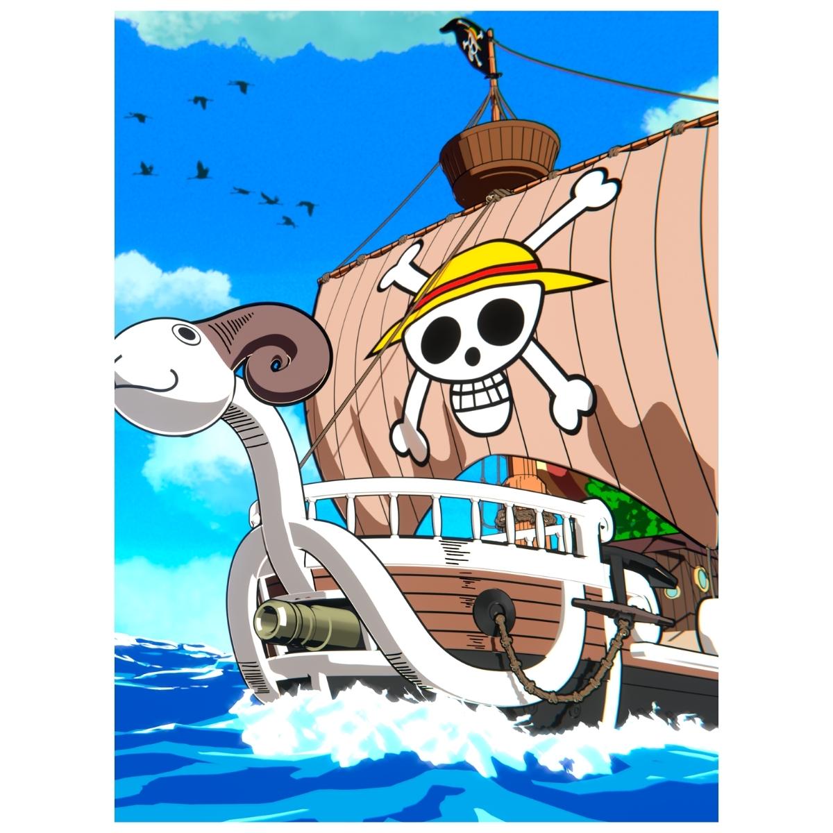 One Piece: Going Merry - Anime Paint By Numbers Kit