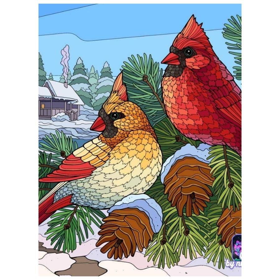 Birds Couple: Paint By Numbers Kit