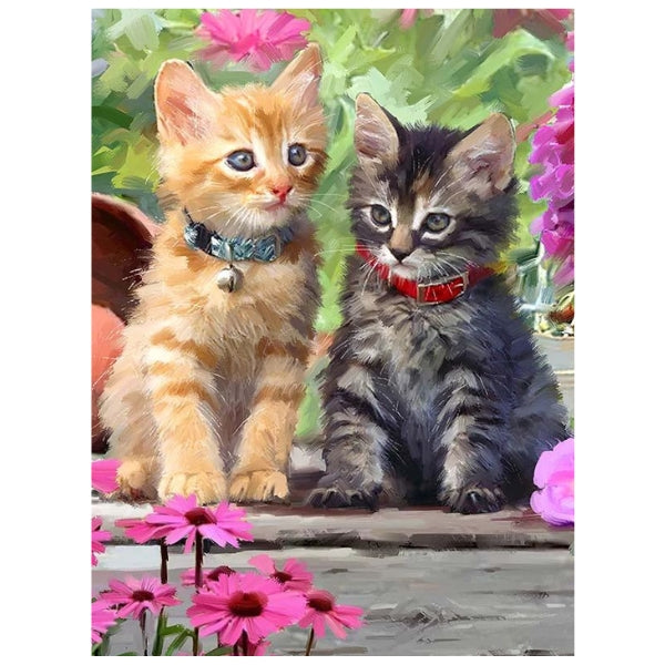 Cats Photo: Paint By Numbers Kit