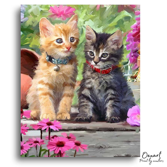 Cats Photo: Paint By Numbers Kit