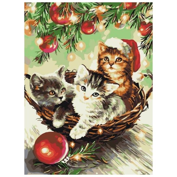 Christmas Kitten: Paint By Numbers Kit