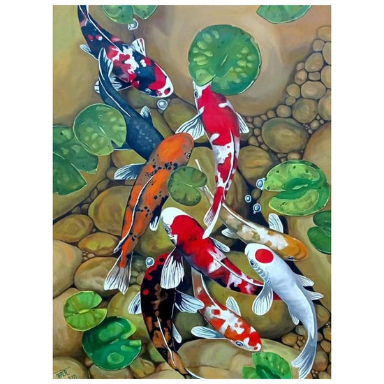 Colored Fish: Paint By Numbers Kit