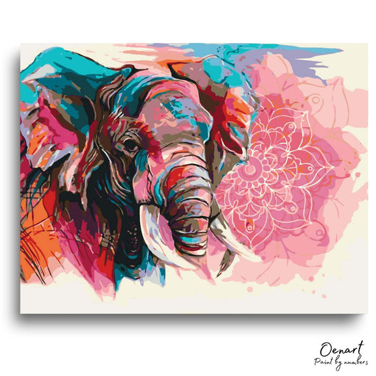 Colorful Elephant: Paint By Numbers Kit