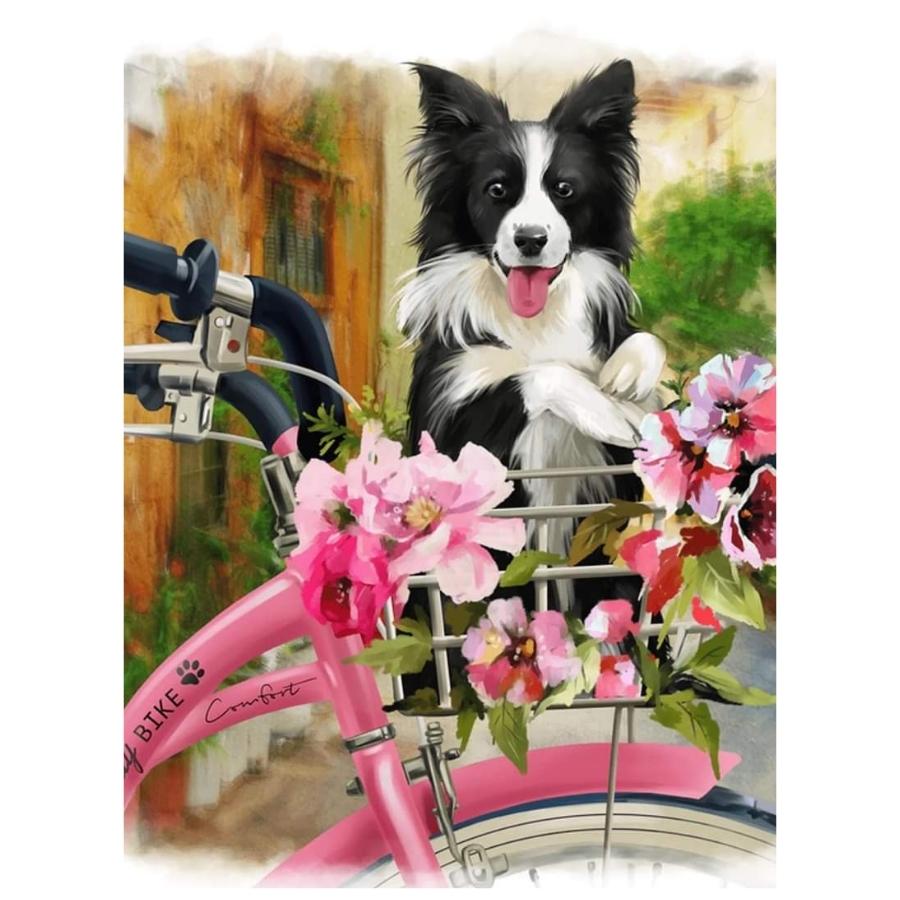 Dog & Bike: Childrens Art Set