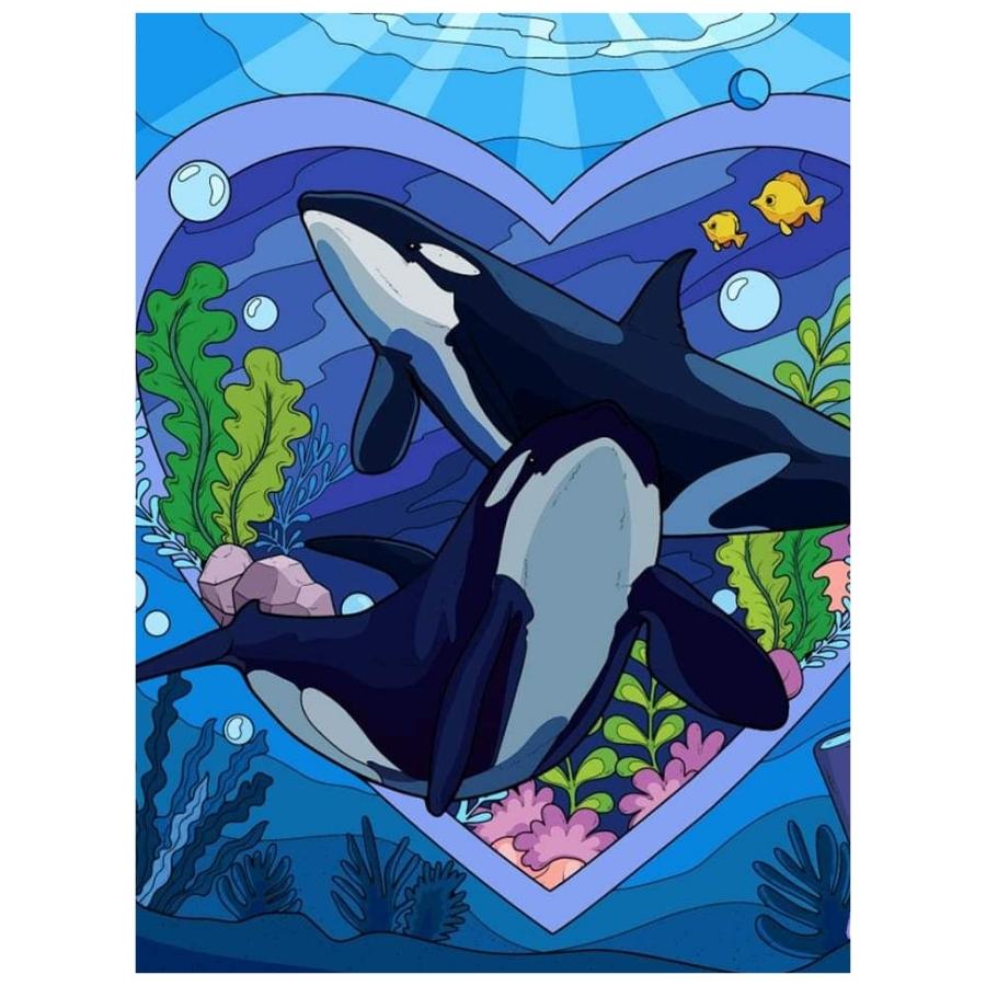 Dolphin Couple: Paint By Numbers Kit