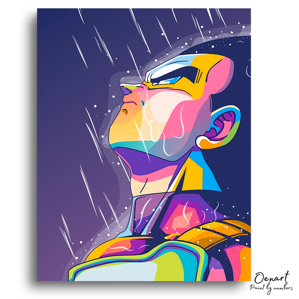 Dragon Ball Z: Vegeta in the Rain - Anime Diamond Painting