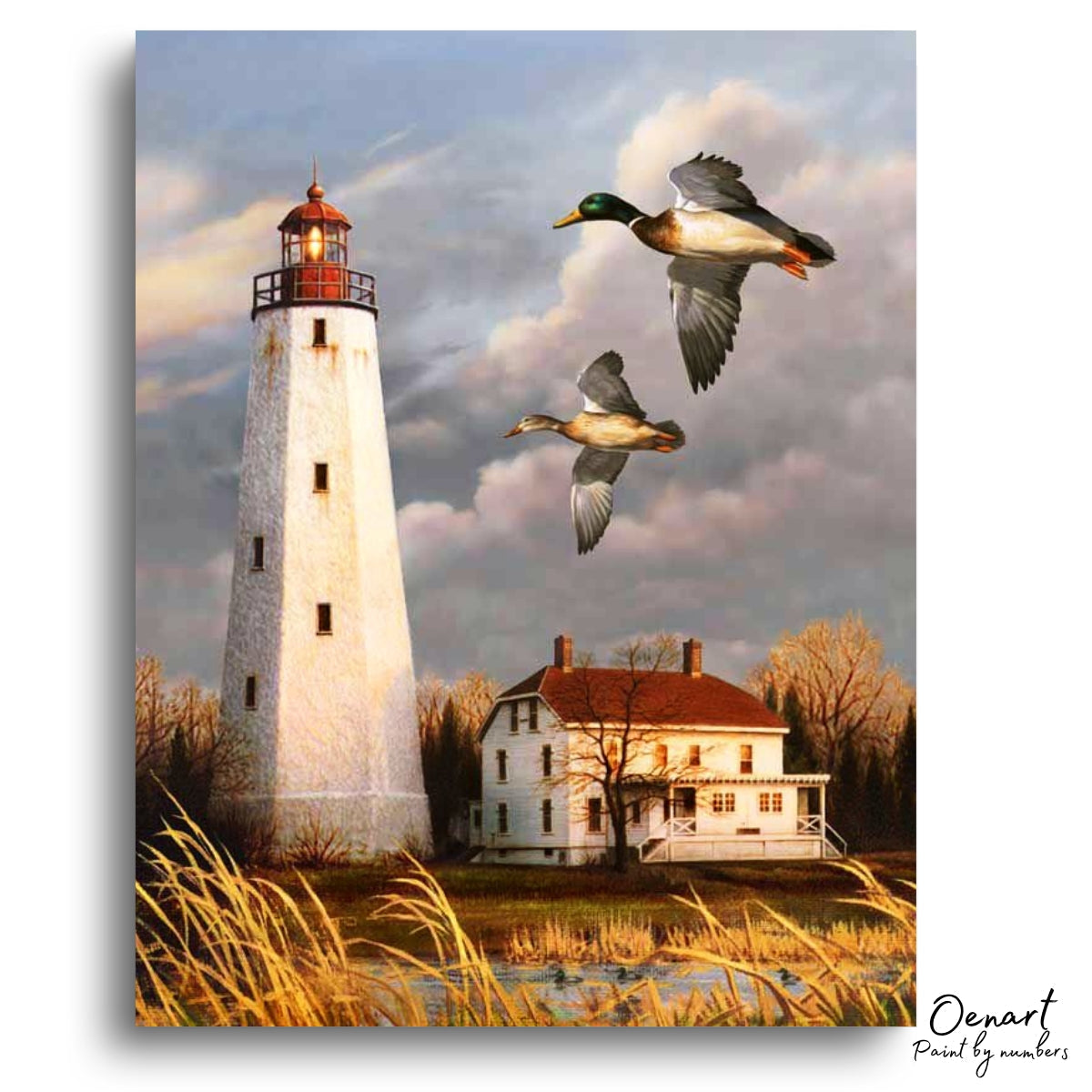 Flying Duck - Diamond Painting Kit-Oenart™