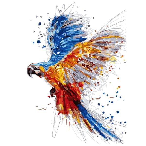 Flying Parrot: Paint By Numbers Kit