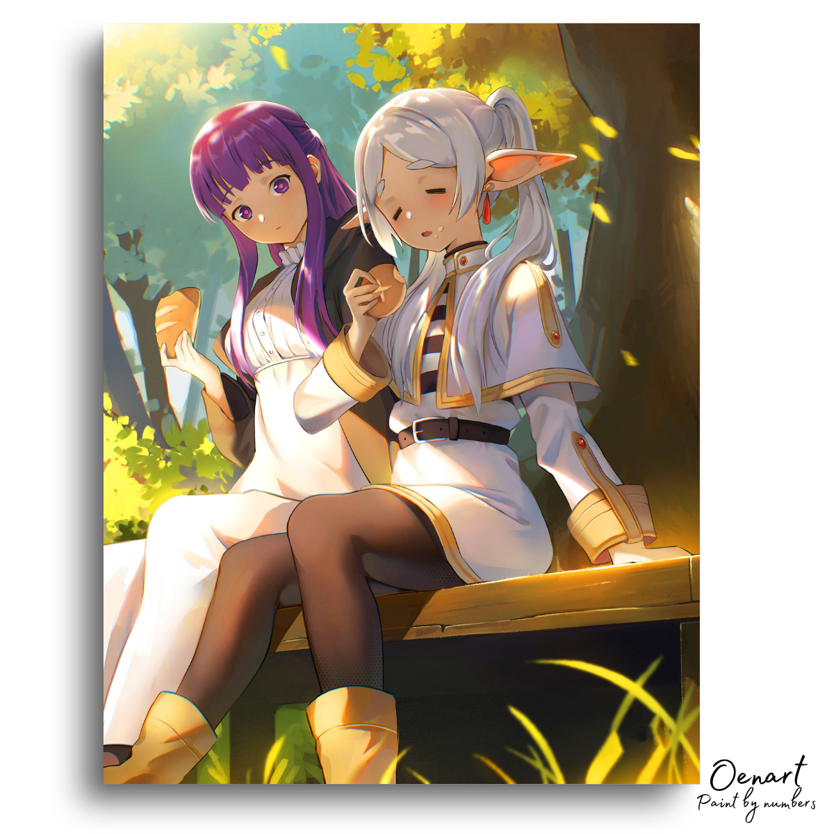 Frieren Beyond Journey's End: Frieren and Fern Eating - Anime Paint By Numbers Kit