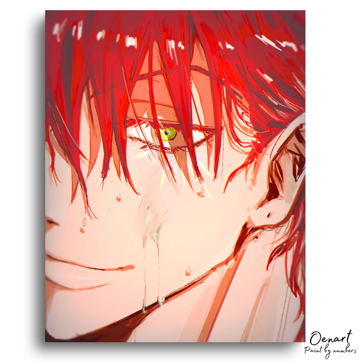 Hunter × Hunter: Hisoka Red Hair - Anime Paint By Numbers Kit