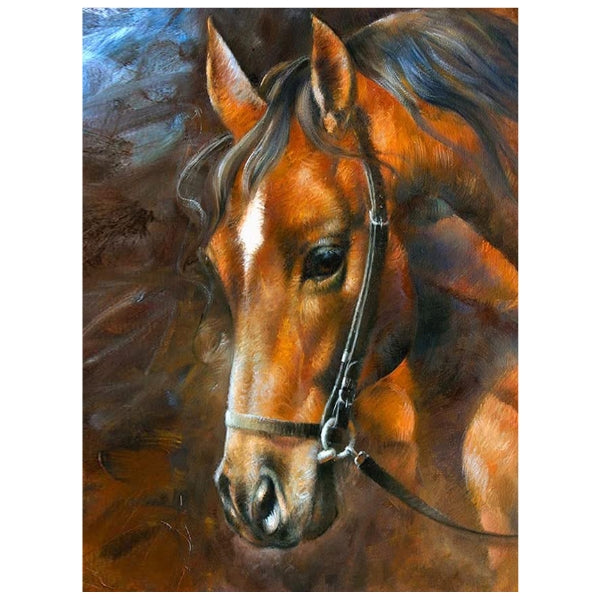 Lovely Horse - Paint By Numbers Kit