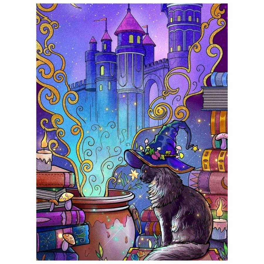 Magician Cat: Paint By Numbers Kit