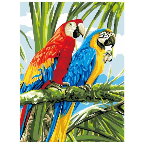 Parrot's Couple - Paint By Numbers Kit