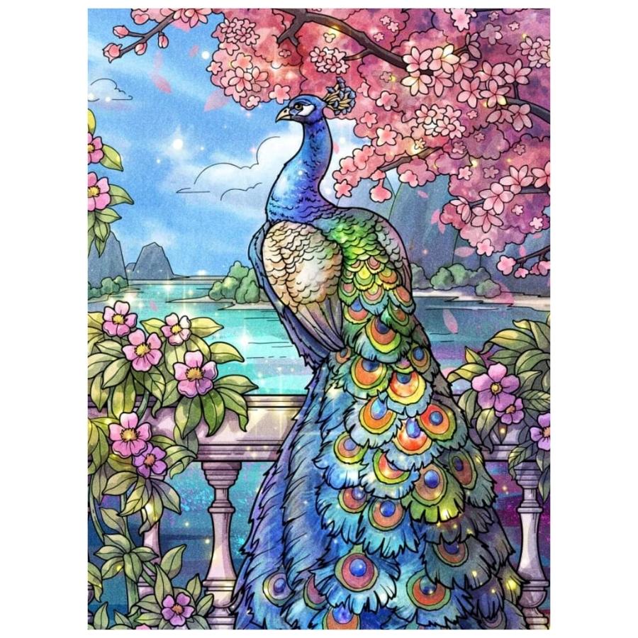 Peacock Bird: Paint By Numbers Kit