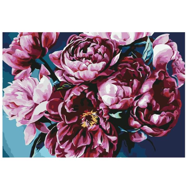 Pink Roses - Paint By Numbers Kit