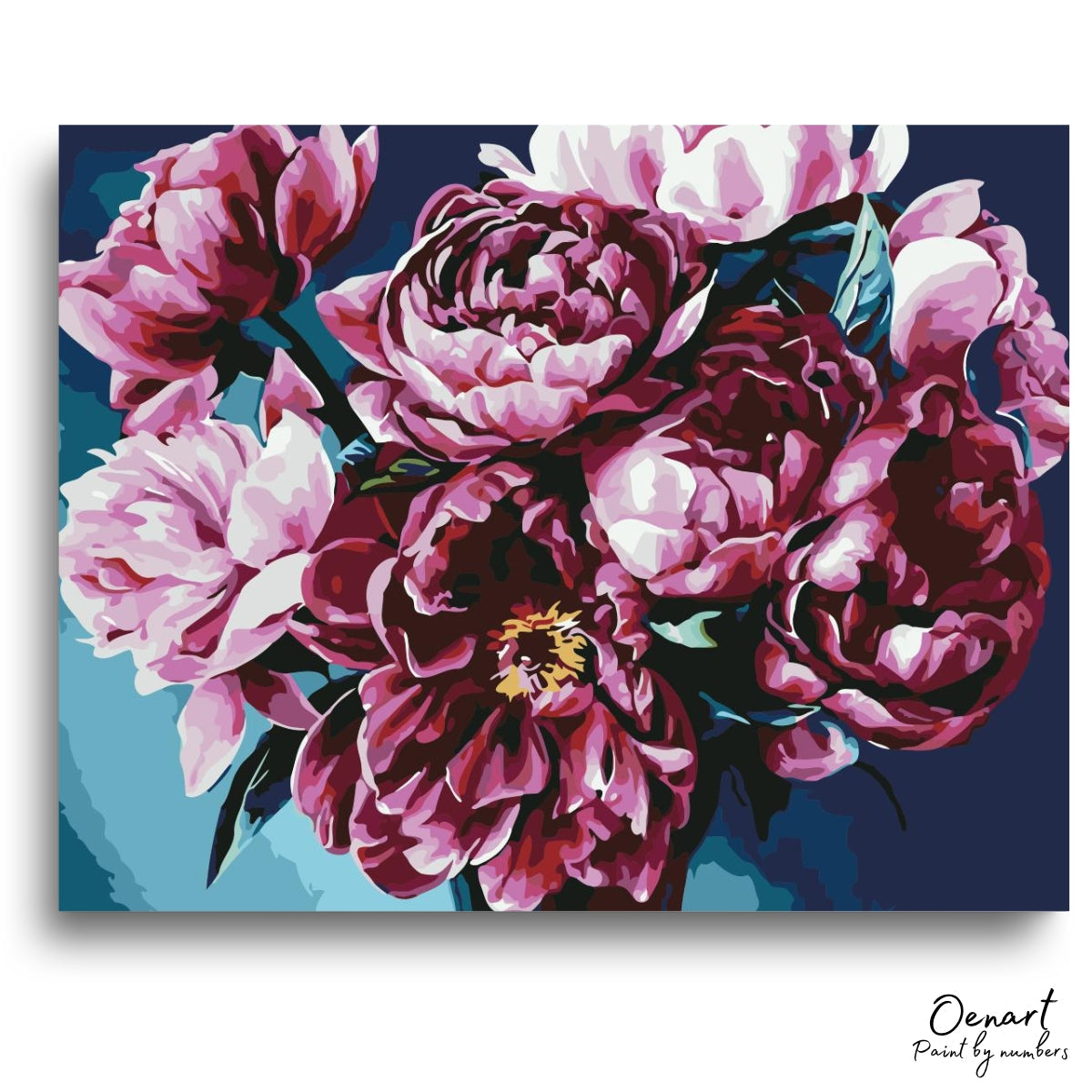 Pink Roses - Paint By Numbers Kit