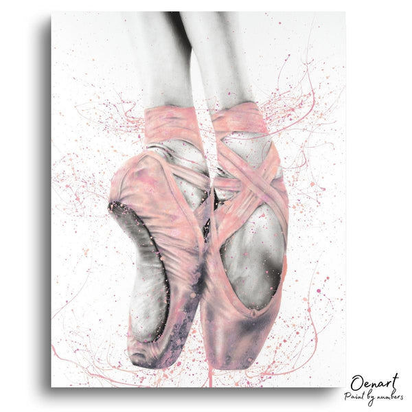 Pointe Shoes: Paint By Numbers Kit