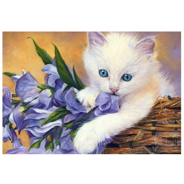 Purple Kitten - Paint By Numbers Kit