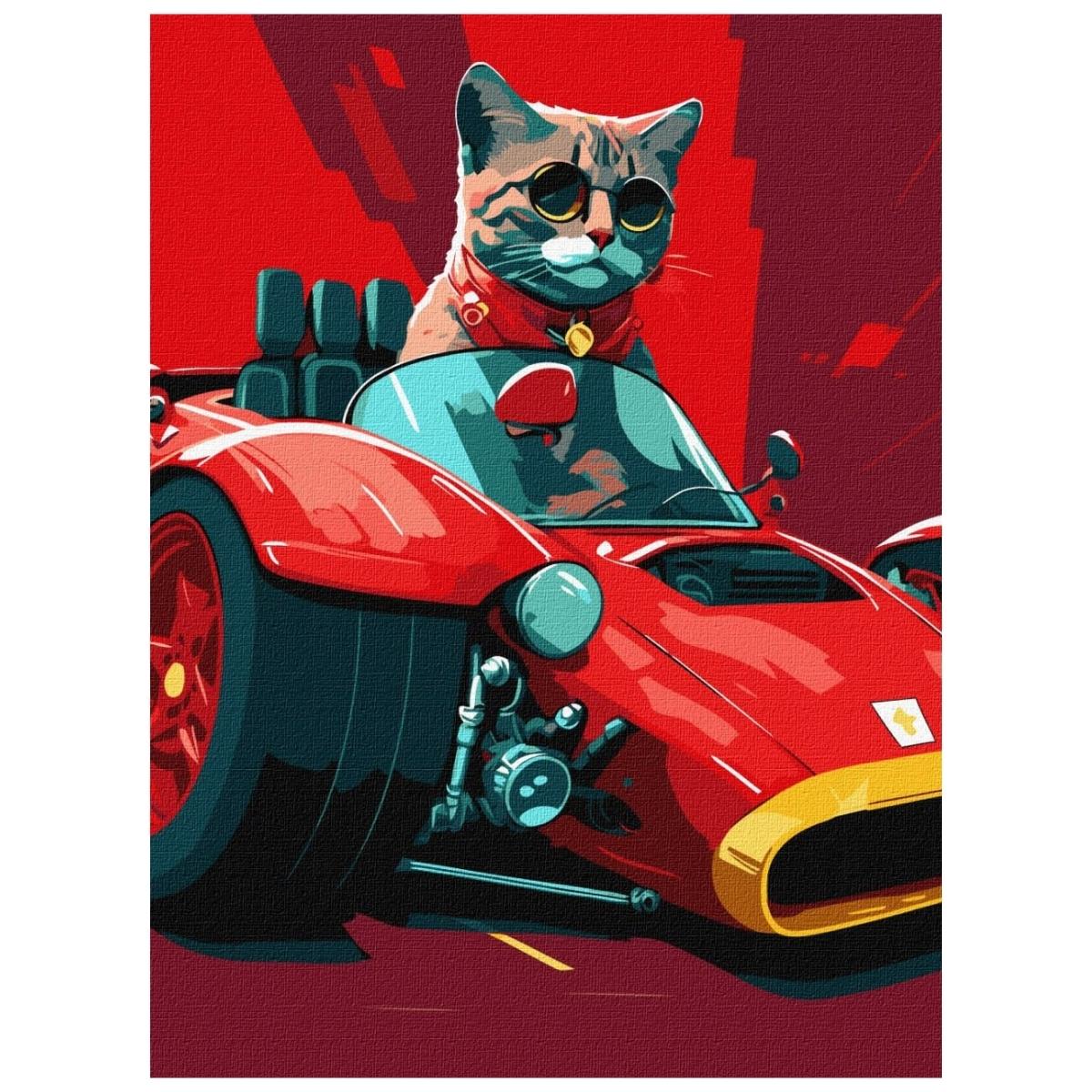 Racing Cat: Paint By Numbers Kit