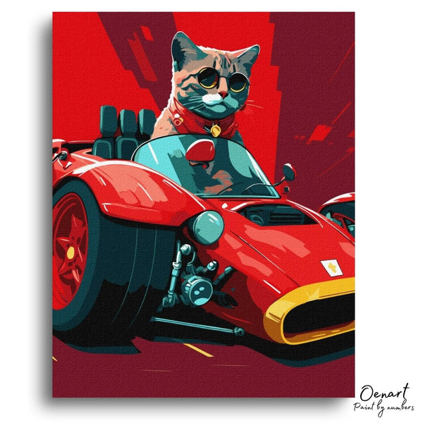 Racing Cat: Paint By Numbers Kit