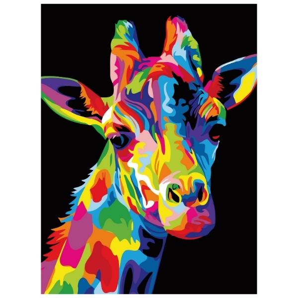 Rainbow Giraffe: Paint By Numbers Kit