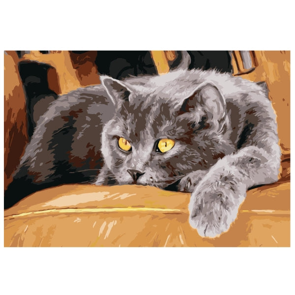 Resting Cat - Paint By Numbers Kit