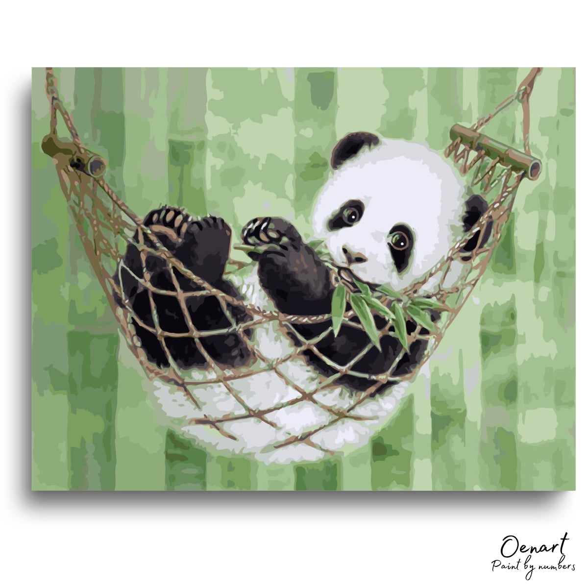 Resting Panda: Paint By Numbers Kit