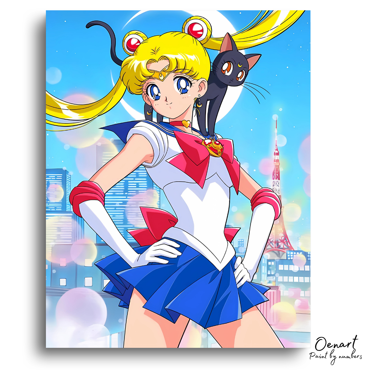 Sailor Moon: Black Cat - Anime Paint By Numbers Kit