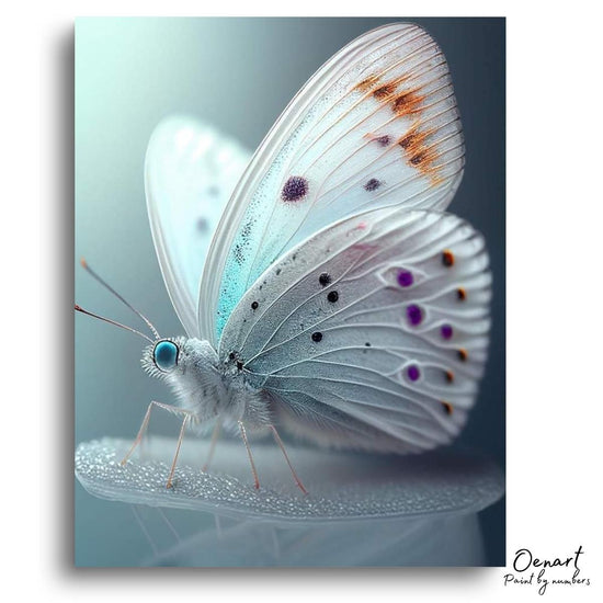 White Butterfly: Paint By Numbers Kit