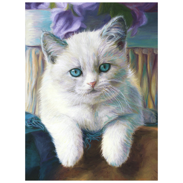 White Kitten - Paint By Numbers Kit