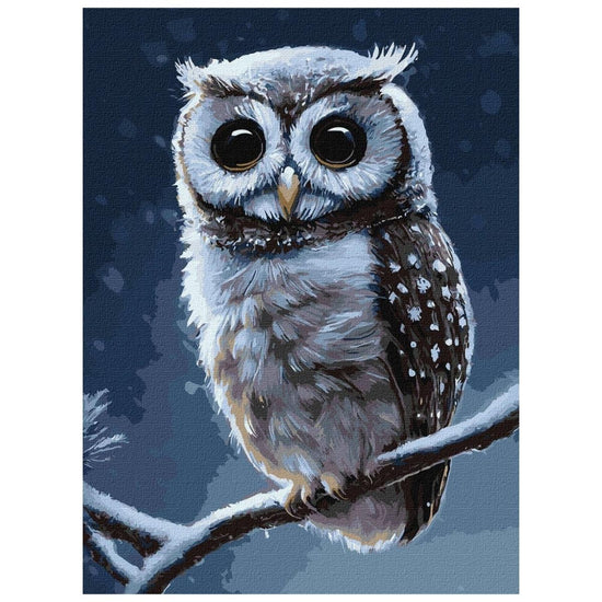 White Owl - Paint By Numbers Kit