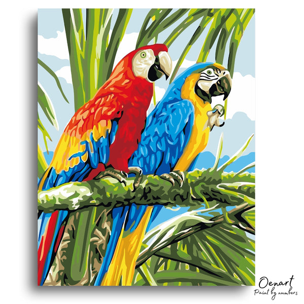 Parrot's Couple - Paint By Numbers Kit