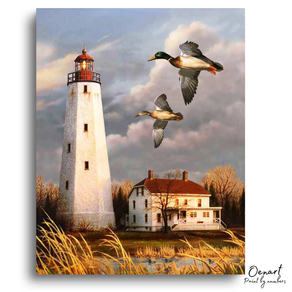 Flying Duck - Paint By Numbers Kit