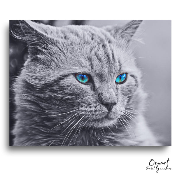 Grey Cat - Paint By Numbers Kit