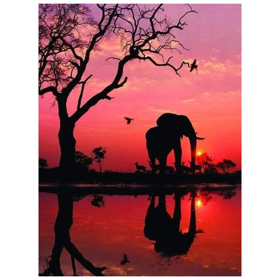 Elephant & Sunset - Paint By Numbers Kit