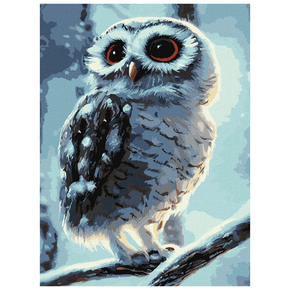 Owl Portrait - Paint By Numbers Kit