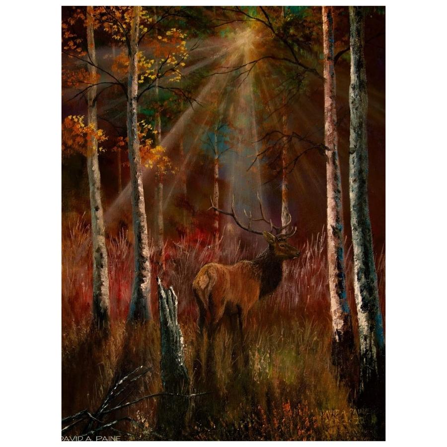 Brown Deer - Paint By Numbers Kit