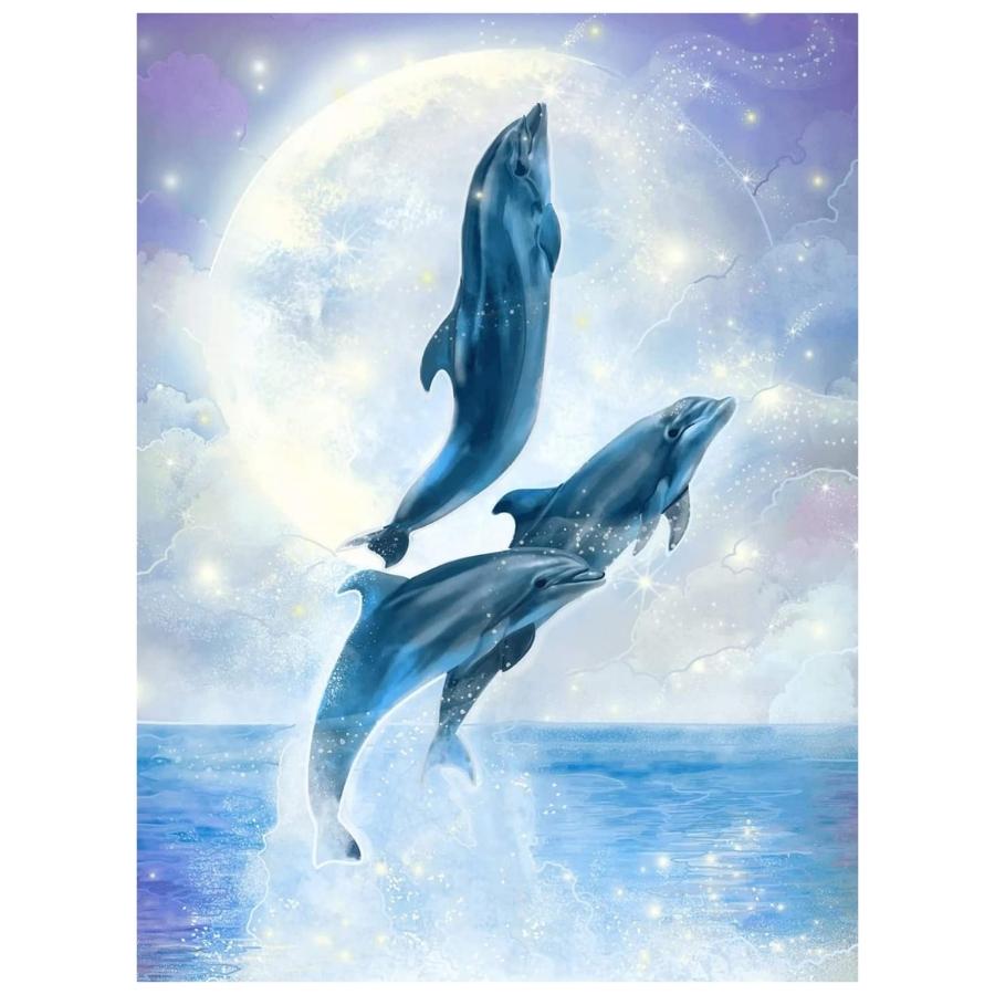 Dolphin - Paint By Numbers Kit