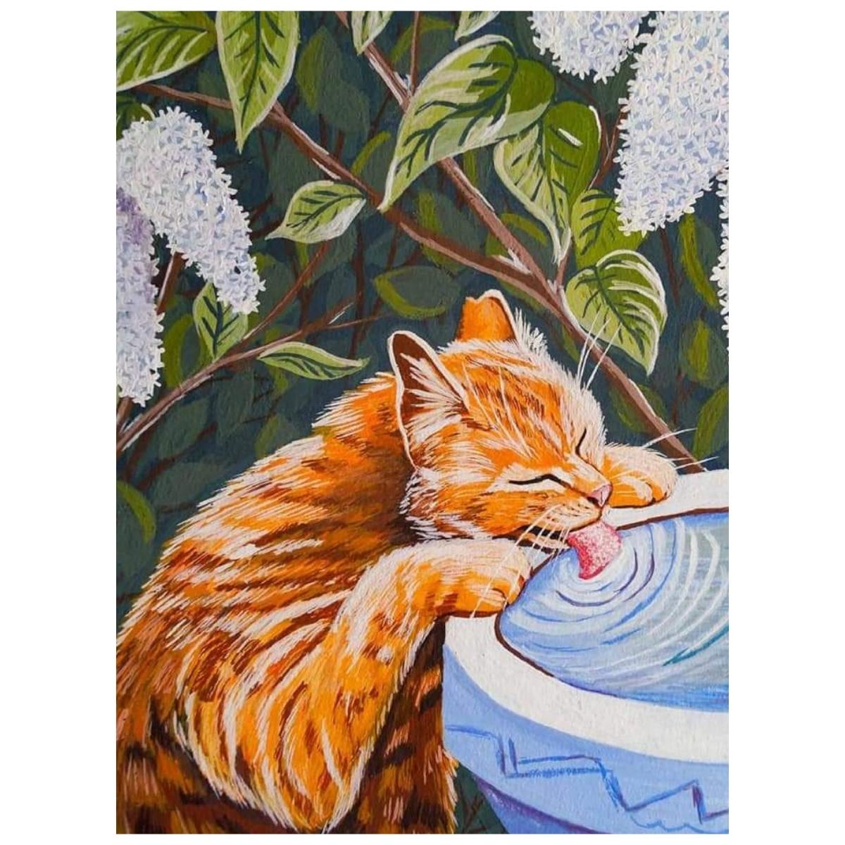 thirsty Cat - Paint By Numbers Kit