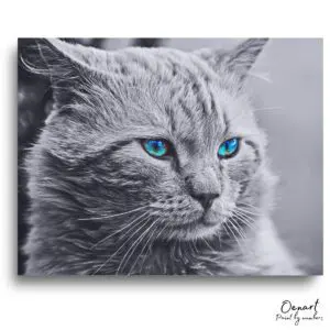 Majestic Grey Cat Portrait - Paint By Numbers Kit