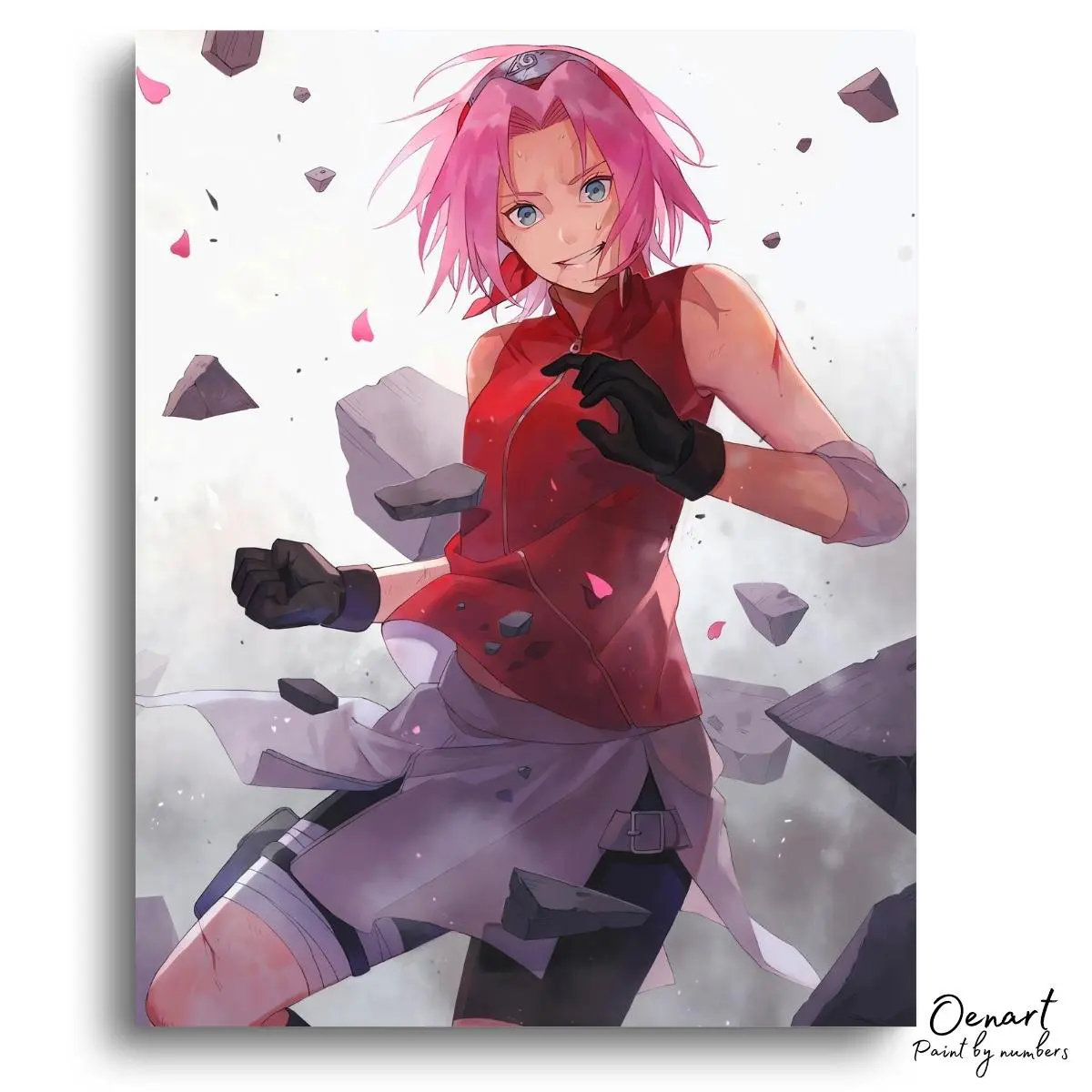Naruto Shippuden: Sakura - Anime Diamond Painting