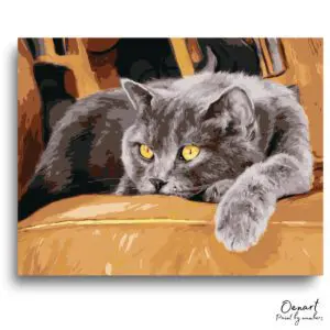 Serene Gray Cat Leisure - Paint By Numbers Kit