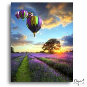 Radiant Tulip Balloon Sunrise - Paint By Numbers Kit