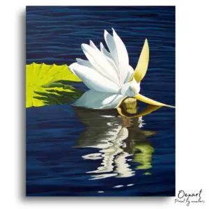 Elegant Lotus Water Reflection - Paint By Numbers Kit