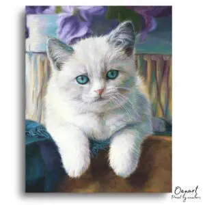 Gentle White Kitten Portrait - Paint By Numbers Kit